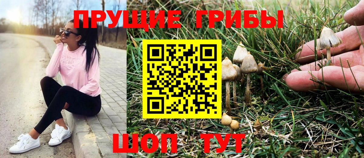 Кудымкар  Галлюциногенные грибы мухоморы  Вход с VPN 