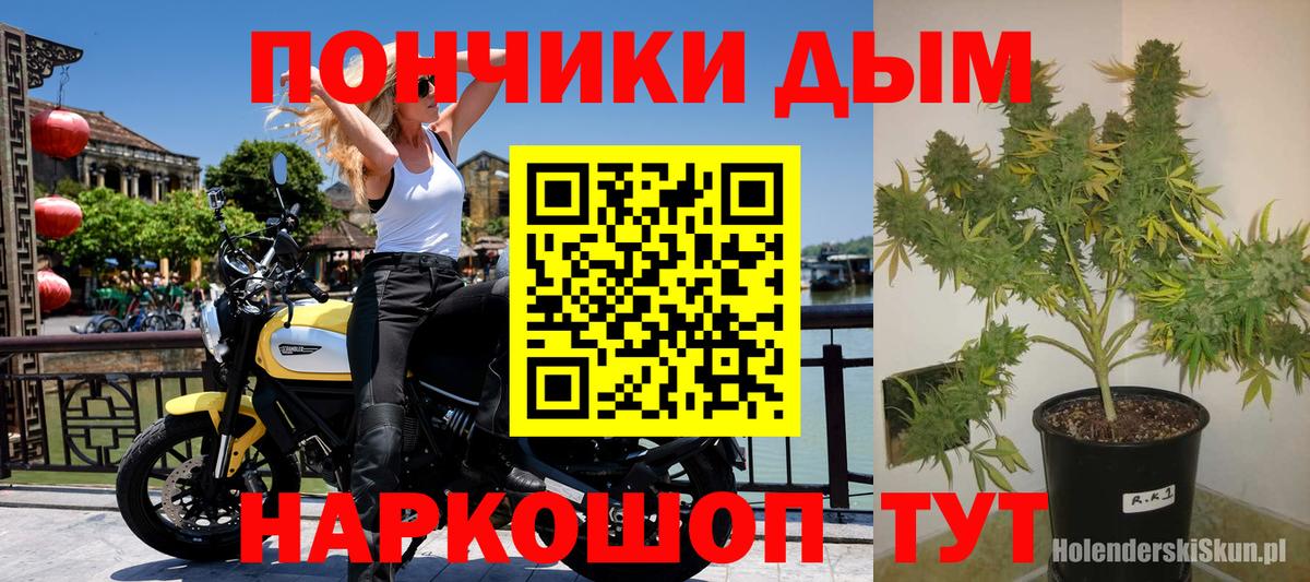 Бошки Шишки LSD WEED Кудымкар